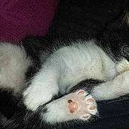 Maboule participe au concours pour gagner de l'argent avec cette photo :