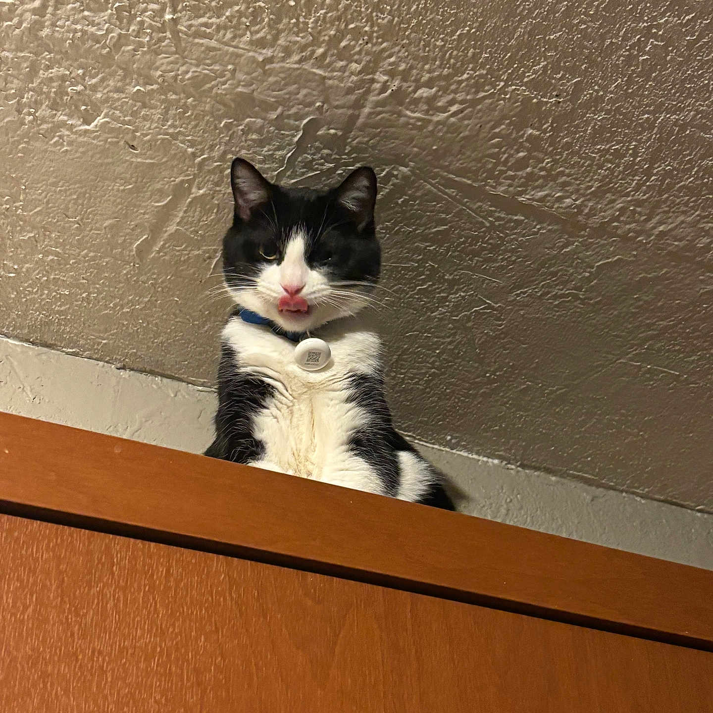 Houdini