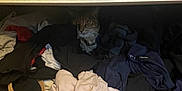 Sky a rejoint le concours — aidez-le/la à gagner de superbes lots ! cat, clothes, drawer, messy, indoor, fabric, pet, hidden, curious, pile, textile, striped, black, white, beige, home, feline, resting, cozy, shelter
