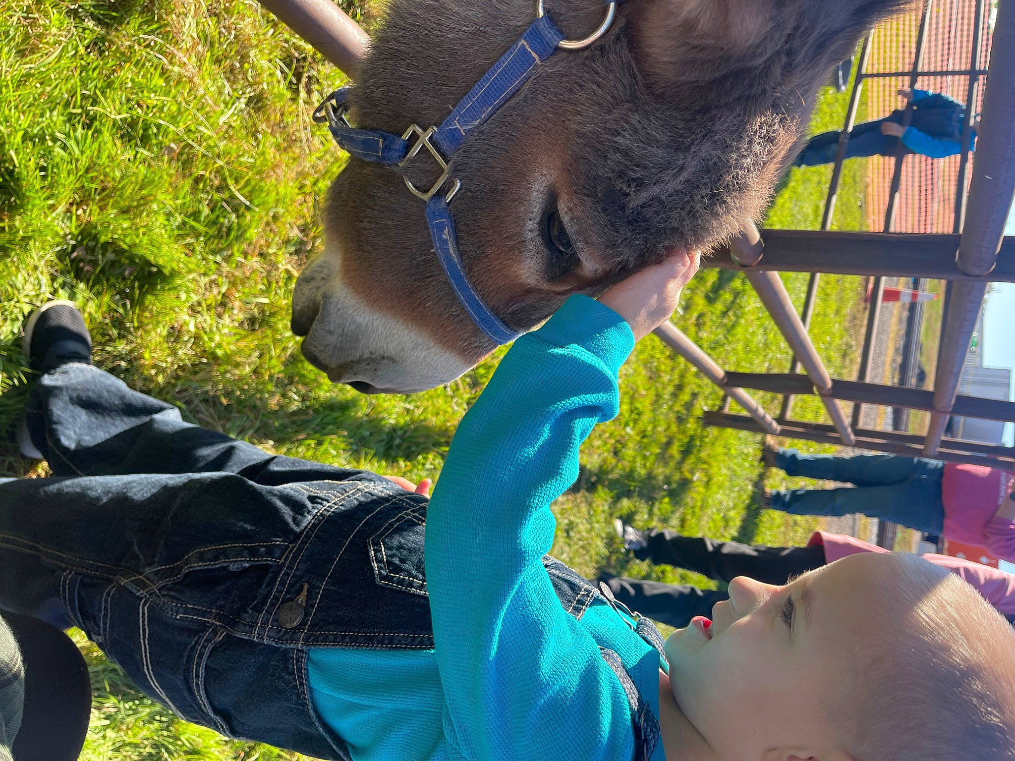 Liam is registered to the contest to win money with this photo: adventure, bridle, electric_blue, eyewear, fun, grass, happy, leisure, person, personal_protective_equipment, recreation, soil, summer, sunglasses, tree, vacation, working_animal, youth