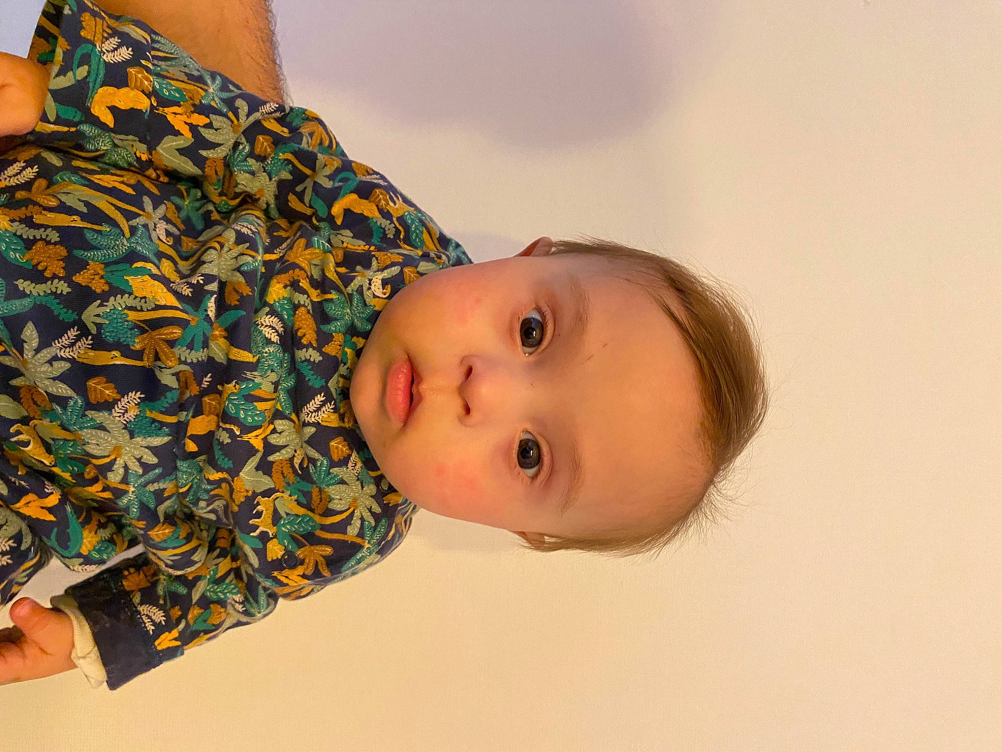 Logan participe au concours pour gagner de l'argent avec cette photo : arm, baby, baby_toddler_clothing, cheek, child, comfort, fun, happy, pattern, person, portrait_photography, skin, sleeve, textile, toddler, wood