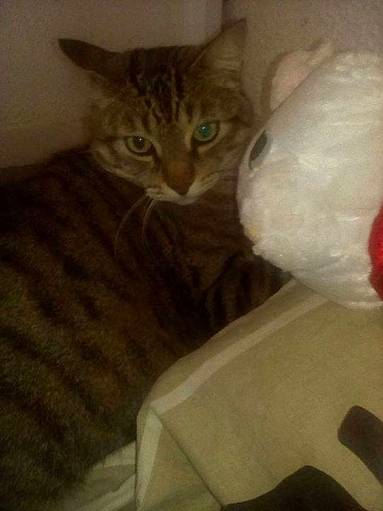 Leo