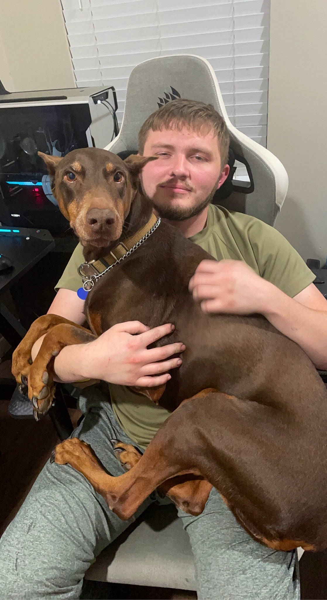 Raven joined the competition — help win amazing prizes! canidae, cap, carnivore, comfort, companion_dog, dog, dog_breed, ear, fawn, fedora, fun, fur, guard_dog, hat, lap, sitting, sporting_group, sun_hat, wallaby, working_animal