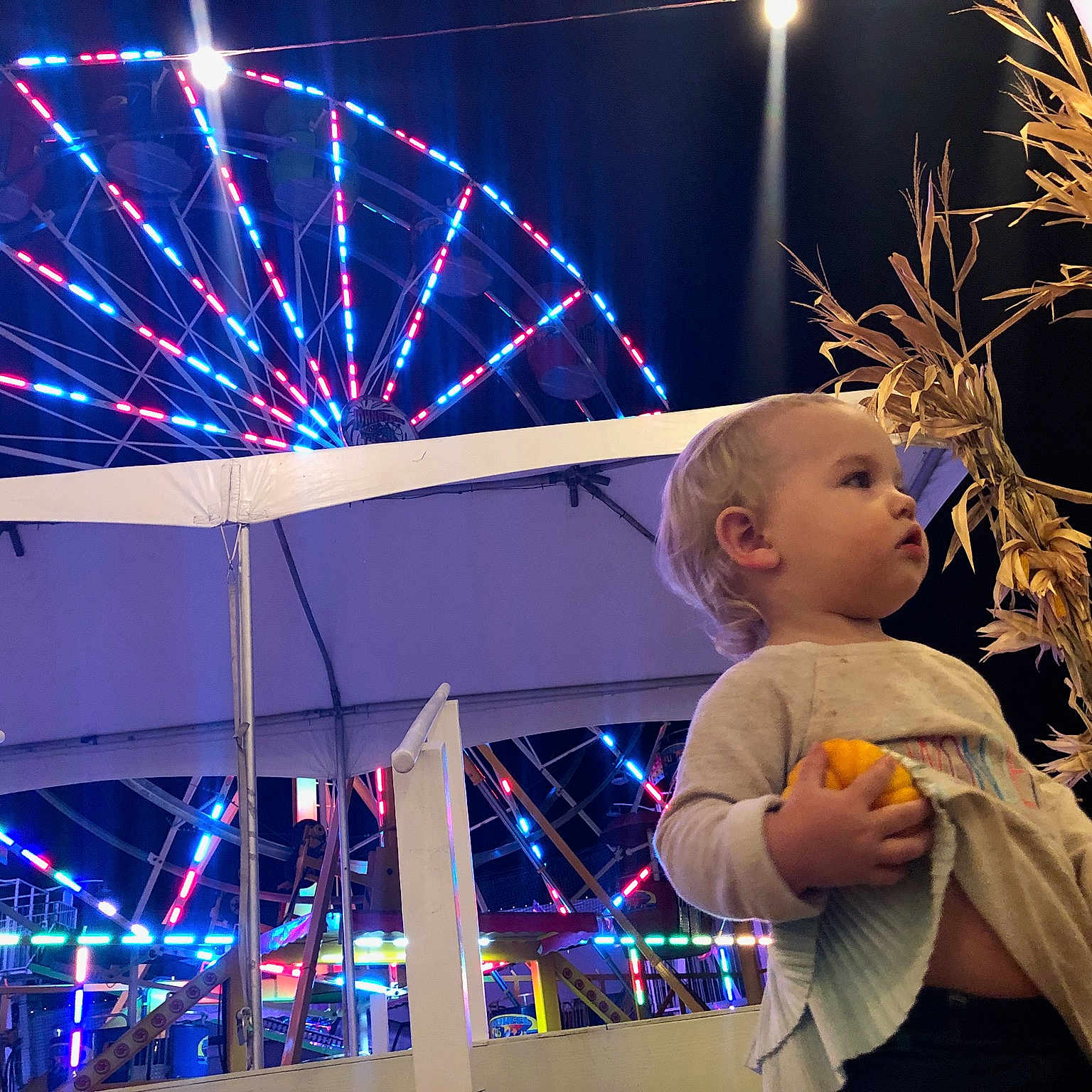 Lily Vaughn joined the competition — help win amazing prizes! amusement_ride, event, fair, festival, fete, fun, lighting, night, person, recreation, space, tourist_attraction, world