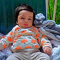 Yaman M.