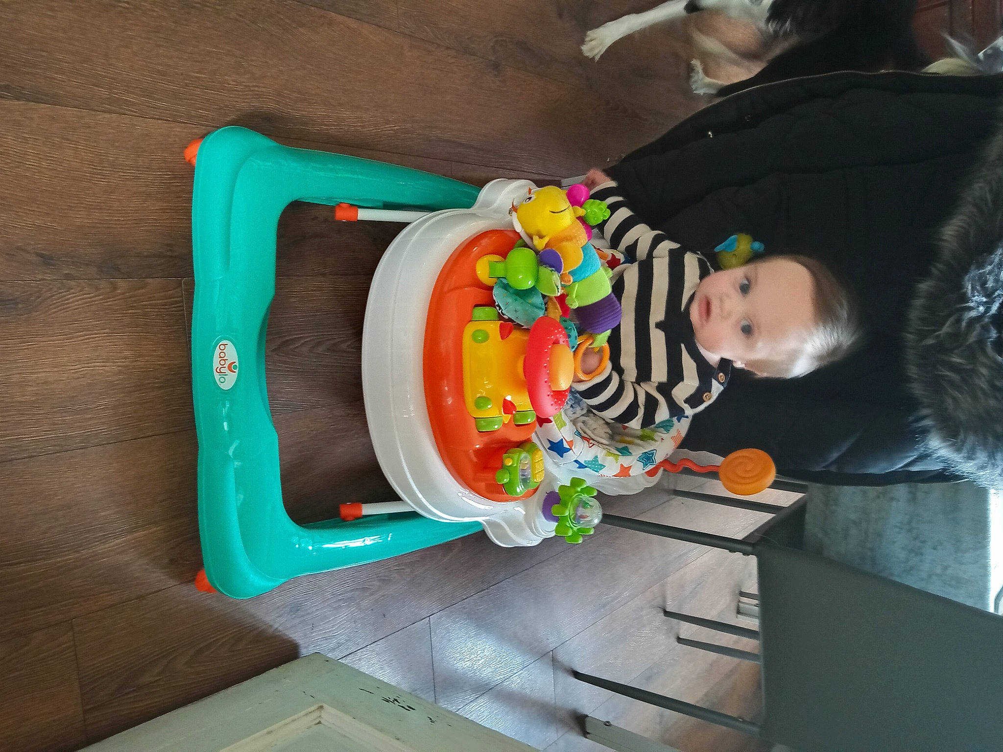 Dean joined the competition — help win amazing prizes! baby, baby_products, child, fun, leisure, person, play, room, sitting, toddler, toy