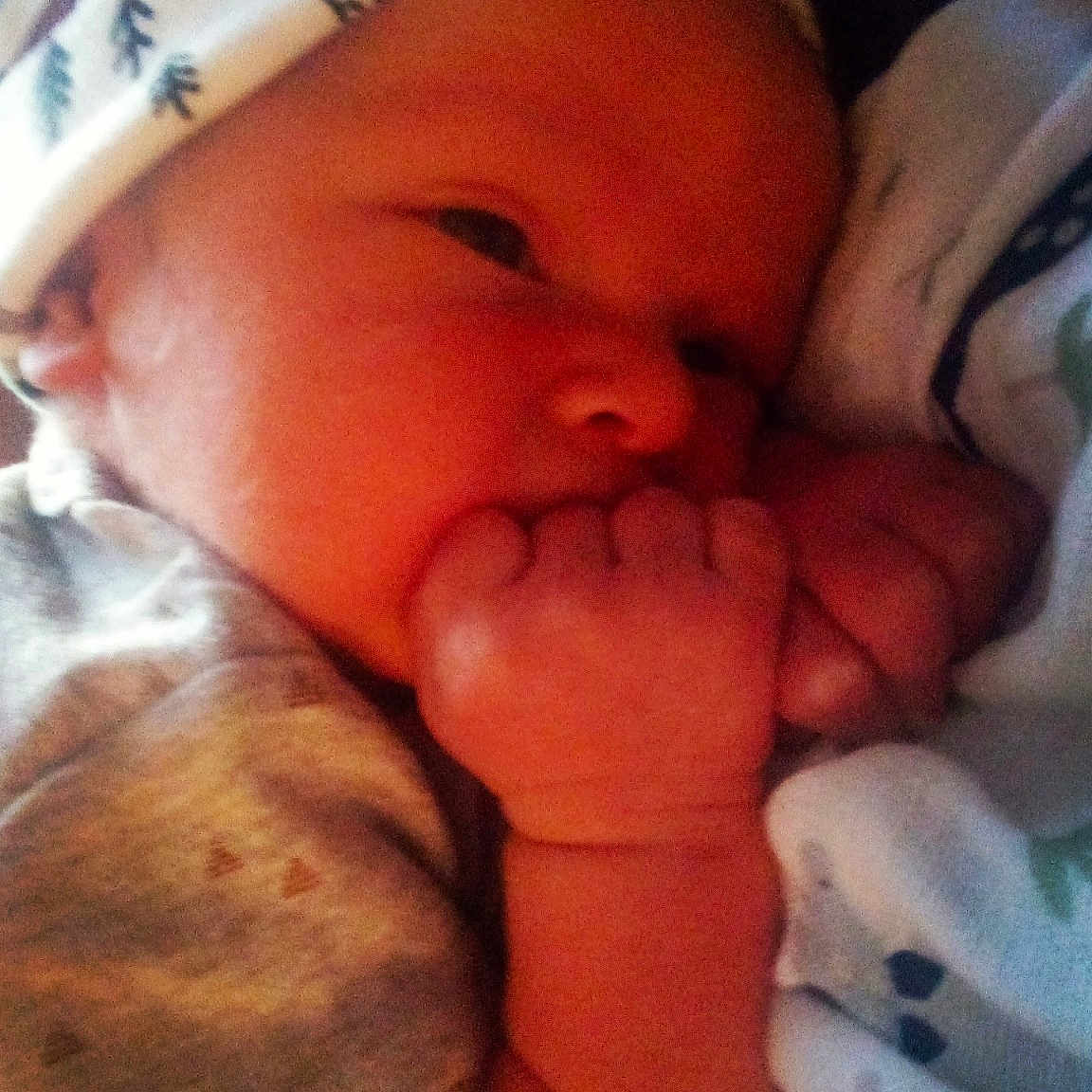 Jaxson is registered to the contest to win money with this photo: baby, cap, cheek, child, chin, comfort, eyebrow, finger, fun, gesture, happy, iris, lip, mouth, nail, nose, skin, smile, thumb, toddler