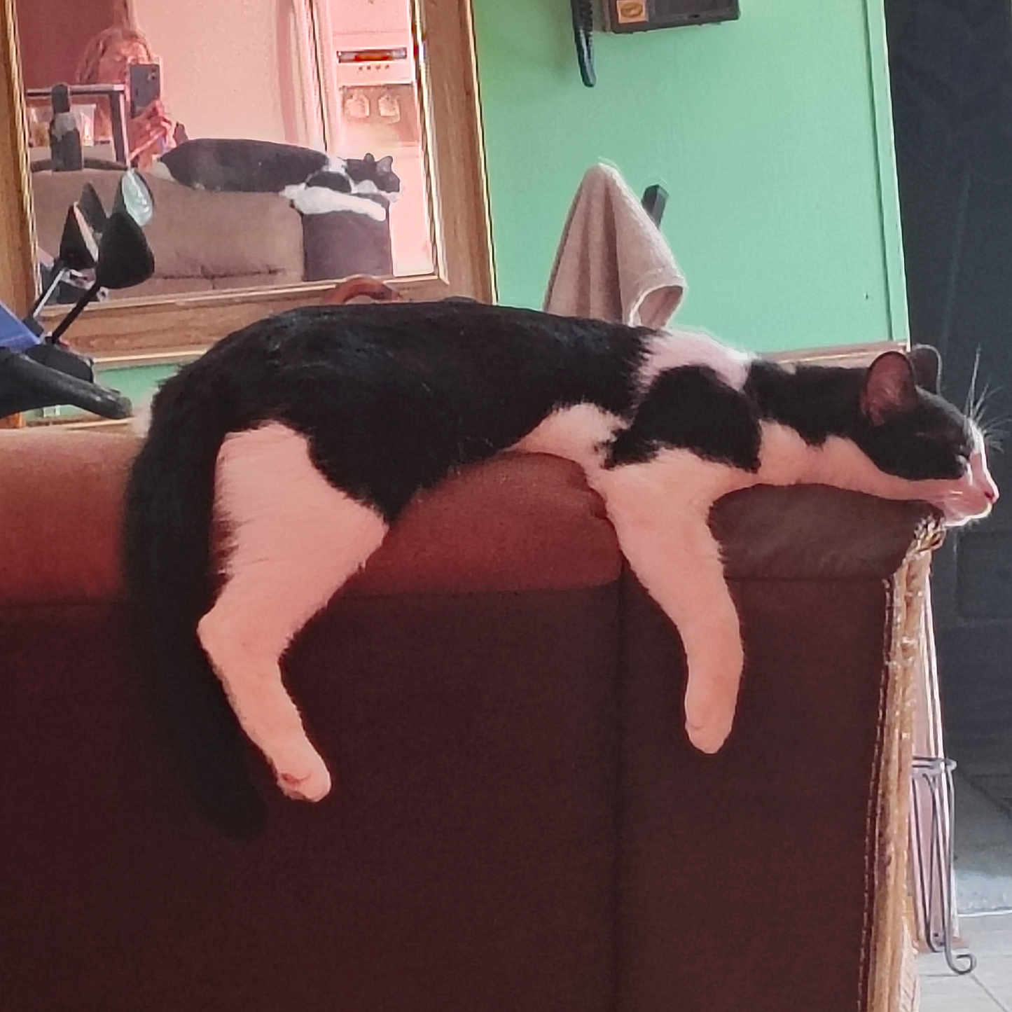 Oreo