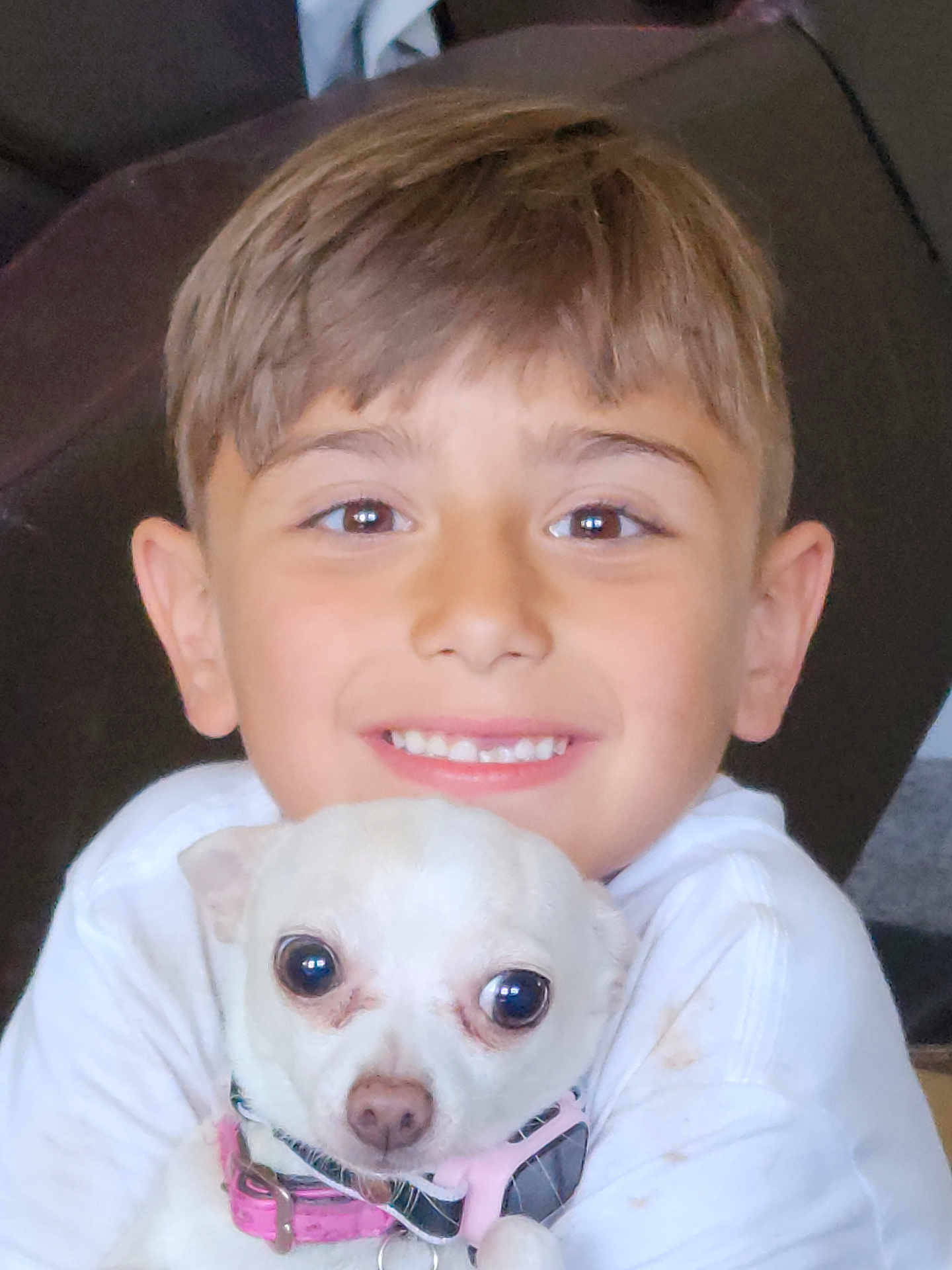 Skye is registered to the contest to win money with this photo: child, dog, white_dog, pet, boy, smiling, hugging, indoor, closeup, cute, collar, short_hair, happy, face, portrait, friendship, cozy, animal, pet_collar, young