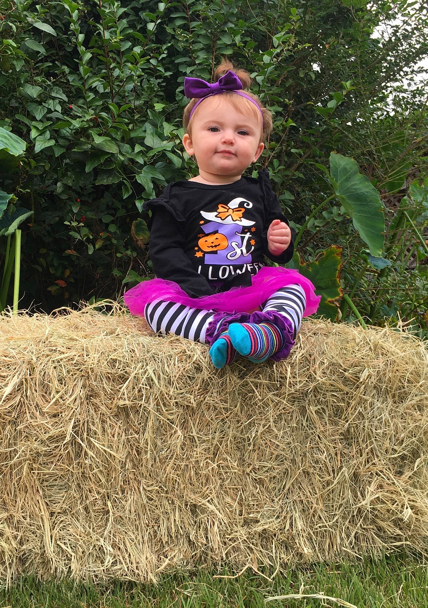 Racelyn Rayne joined the competition — help win amazing prizes! baby, baby_toddler_clothing, child, eye, face, fun, garden, grass, happy, hay, head, leaf, magenta, people_in_nature, person, plant, pumpkin, sitting, soil, toddler