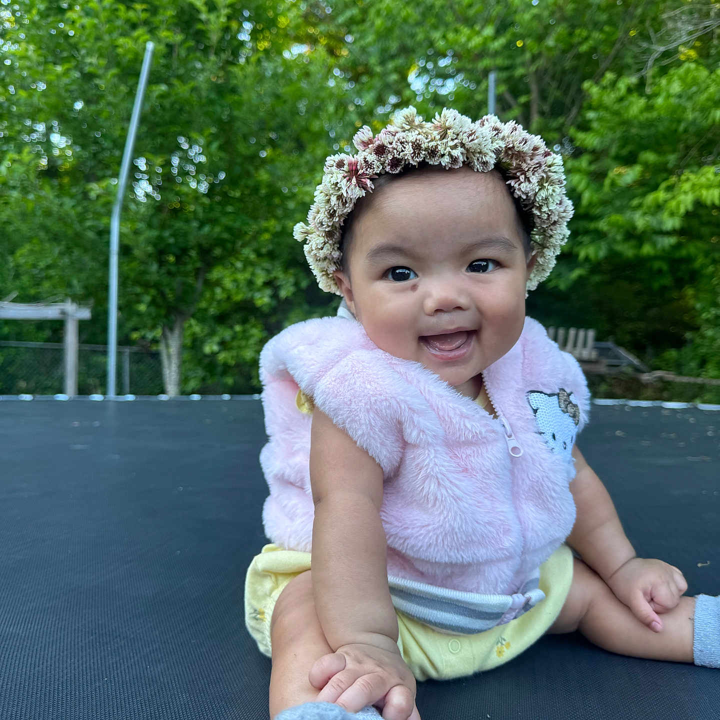 Livia
