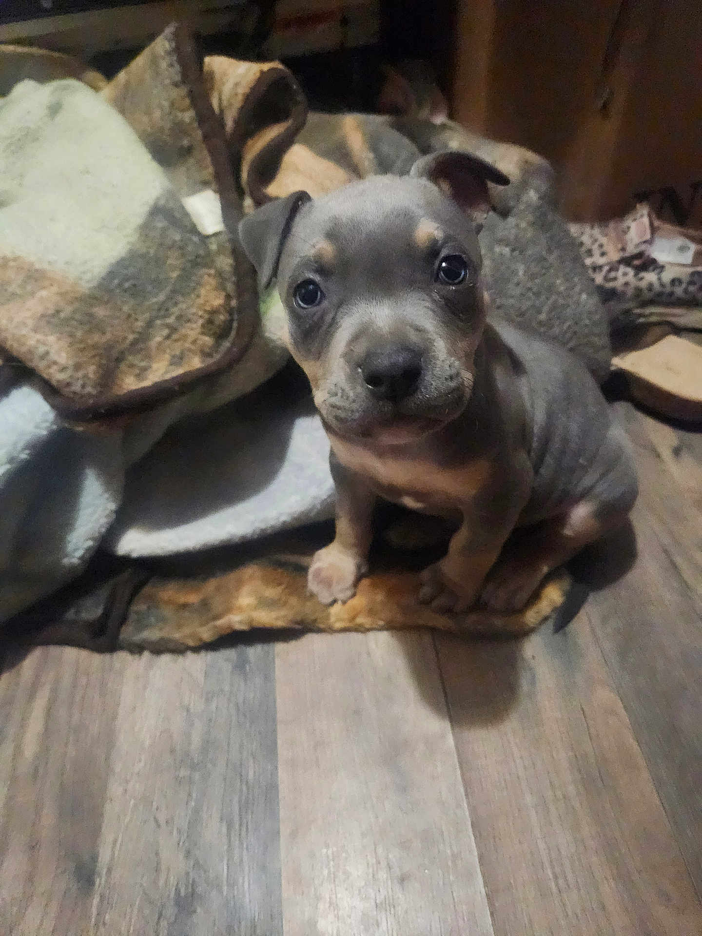 Tank