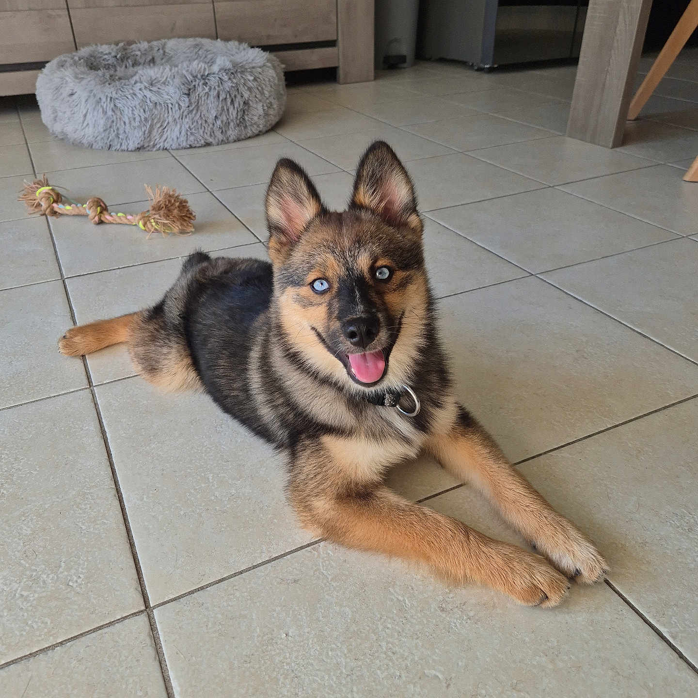 Skye