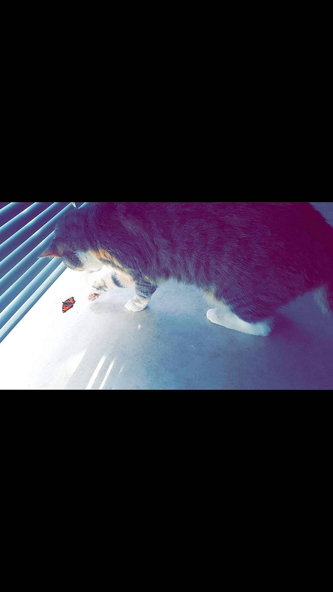 Nini participe au concours pour gagner de l'argent avec cette photo : cloud, purple, sky