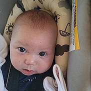Theo joined the competition — help win amazing prizes! baby, infant, car_seat, face, child, blanket, cushion, headrest, safety_strap, close_up, curious, indoors, soft_lighting, cute, person, portrait, blue_eyes, clothing, newborn, infant_care