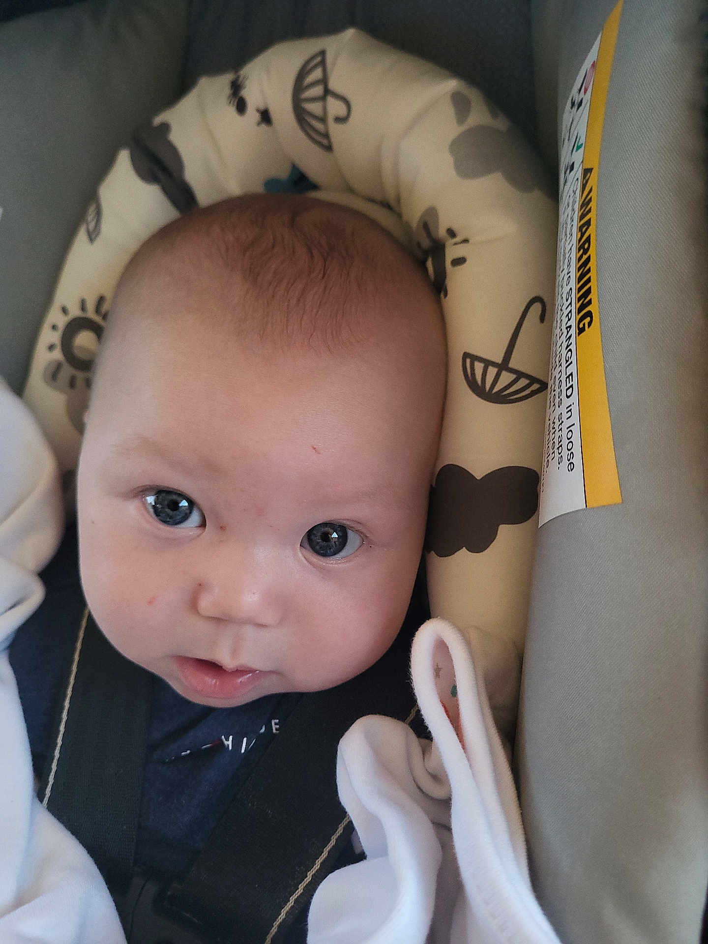 Theo joined the competition — help win amazing prizes! baby, infant, car_seat, face, child, blanket, cushion, headrest, safety_strap, close_up, curious, indoors, soft_lighting, cute, person, portrait, blue_eyes, clothing, newborn, infant_care