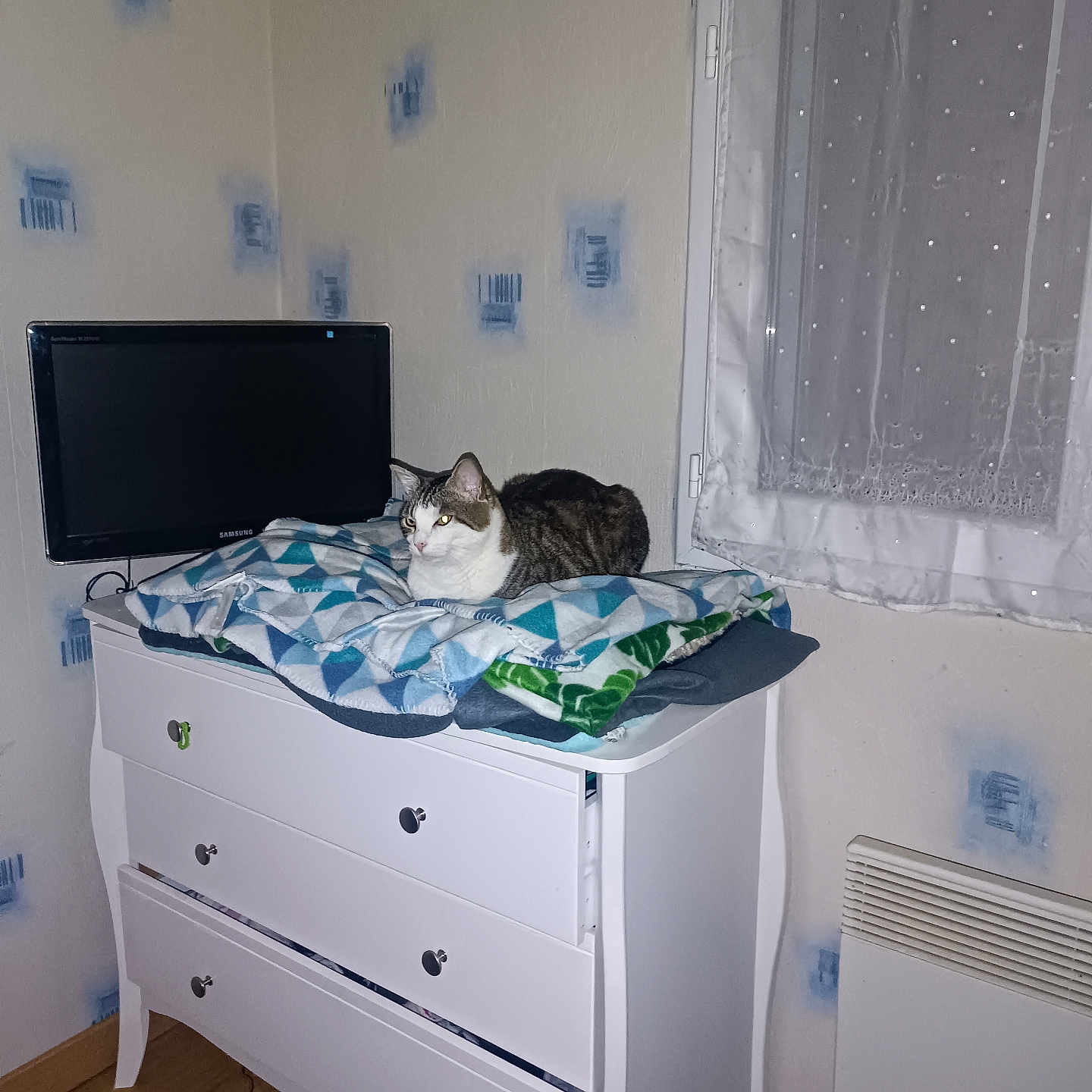 Nanou participe au concours pour gagner de l'argent avec cette photo : animal, bed, bedroom, cabinet, cat, computer, computerhardware, drawer, dresser, electronics, furniture, hardware, indoors, interiordesign, monitor, pet, room, screen, table, tv