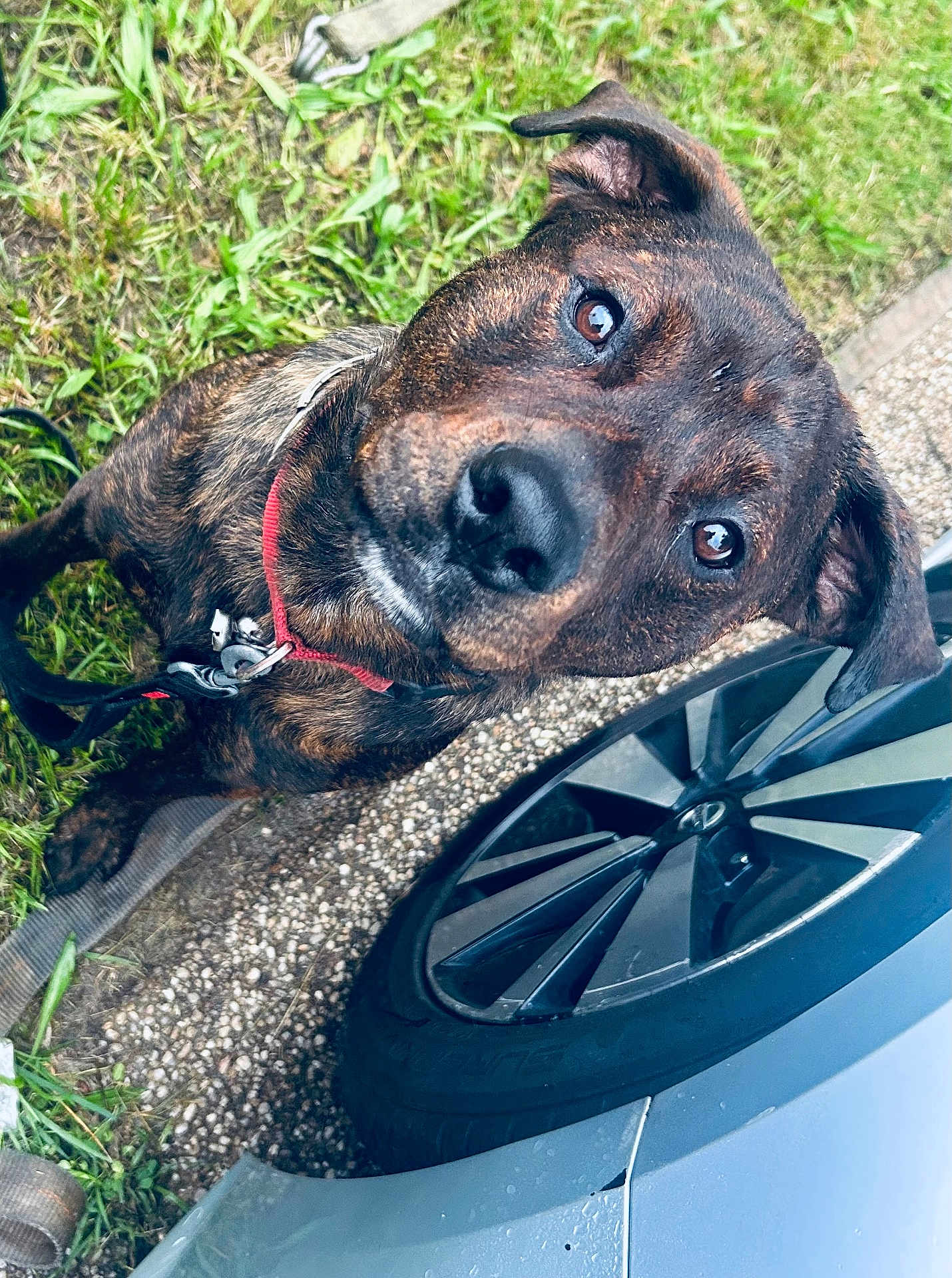 Diesel