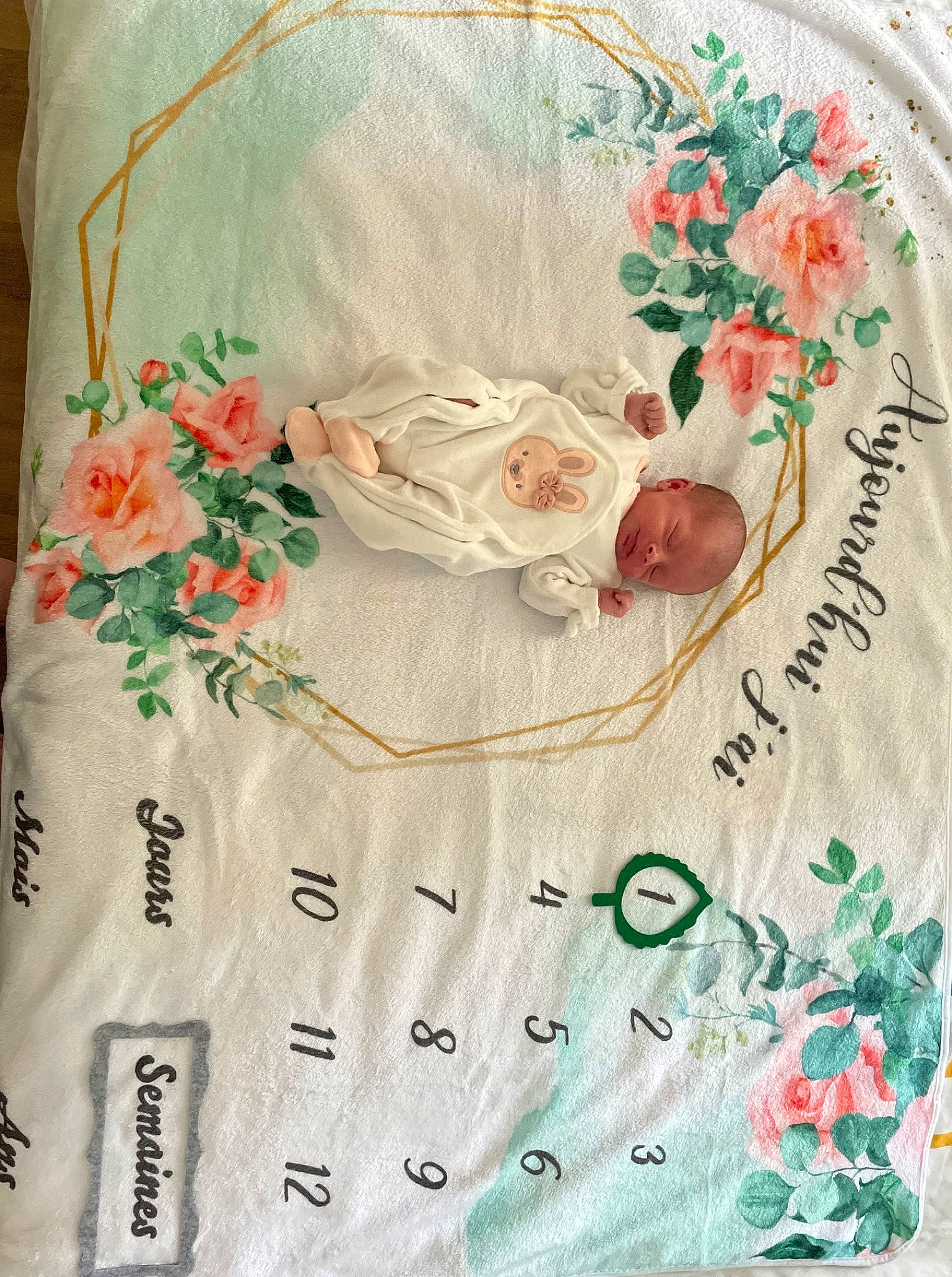 Jennah participe au concours pour gagner de l'argent avec cette photo : art, creative_arts, cut_flowers, design, floral_design, flower, font, linens, paper, pattern, peach, person, petal, plant, product, rectangle, rose, rose_family, rose_order, sleeve