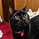 Jiji
