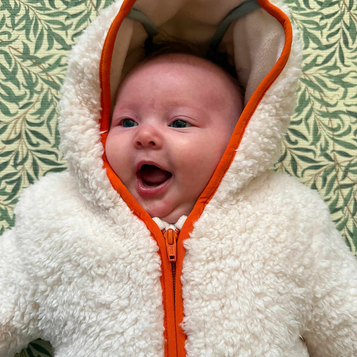 Effie joined the competition — help win amazing prizes! apparel, baby, blue_eyes, child, closeup, cute, expression, face, fluffy_clothing, green_leaves, happy, hooded_jacket, indoor, infant, orange_zipper, patterned_background, portrait, smiling, warm_clothing, young_child