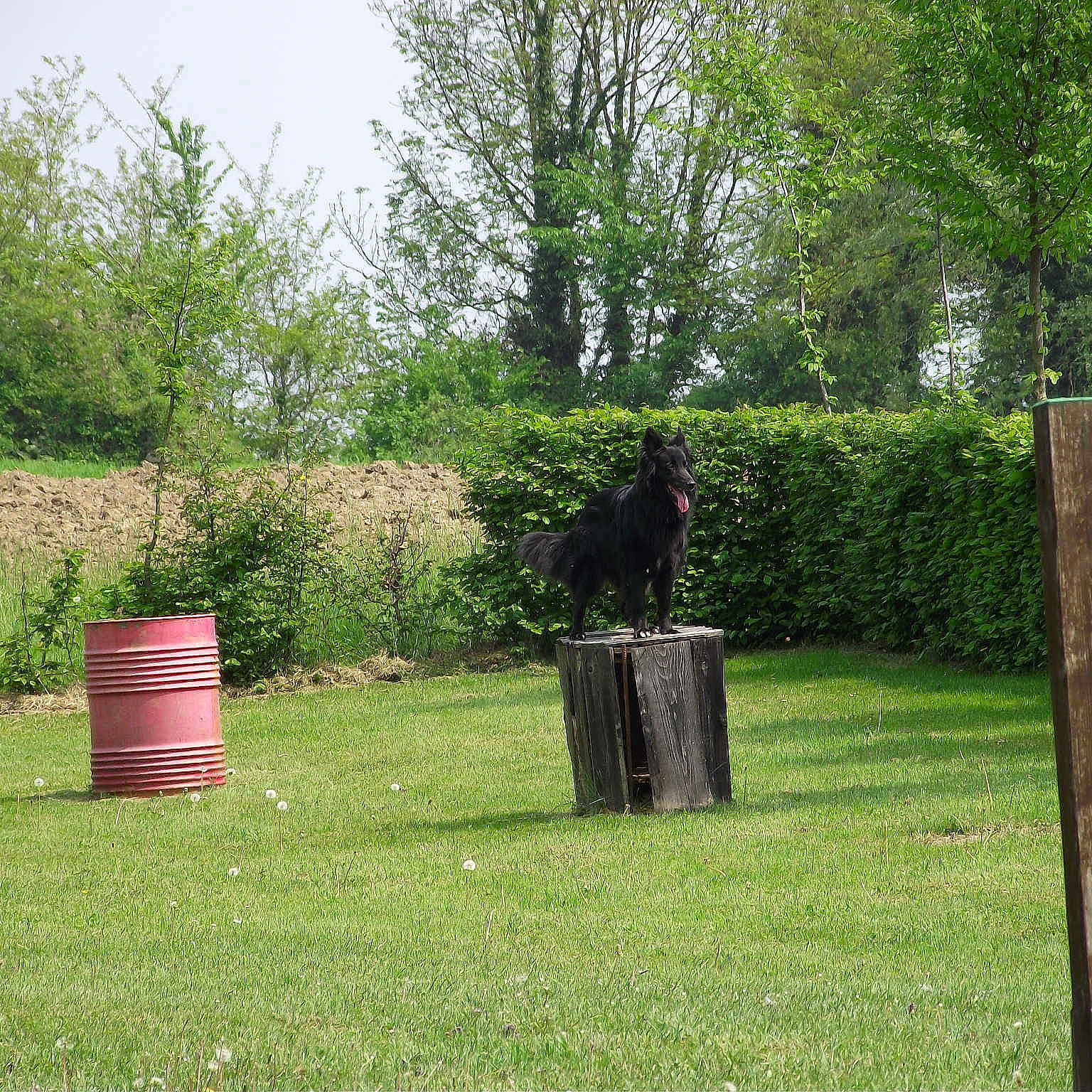 Gaia a rejoint le concours — aidez-le/la à gagner de superbes lots !