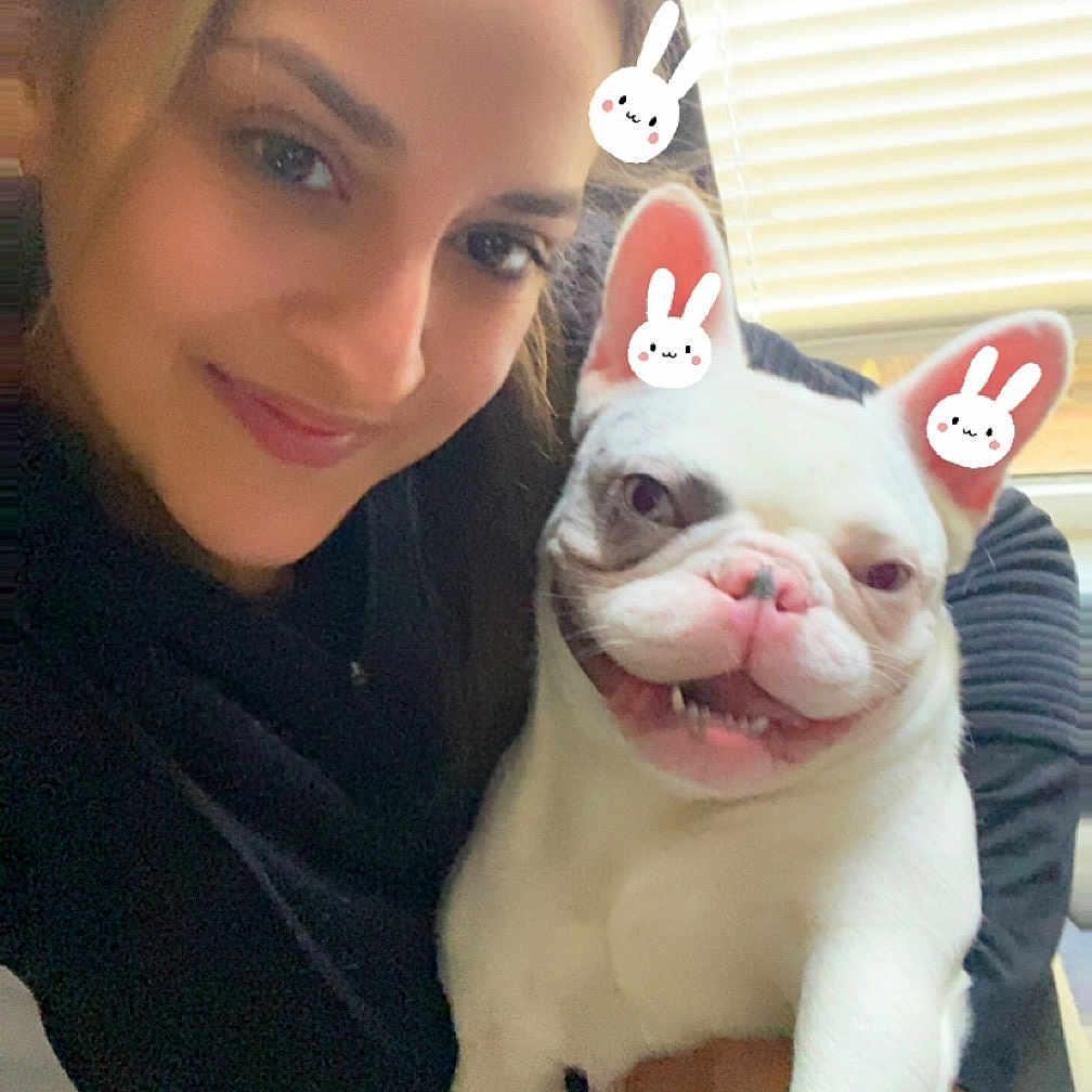 Luna is registered to the contest to win money with this photo: animal, blinds, cuddle, cute, dog, ears, face, french_bulldog, friendship, happy, holding, indoor, light, pet, playful, portrait, smiling, stickers, window, woman