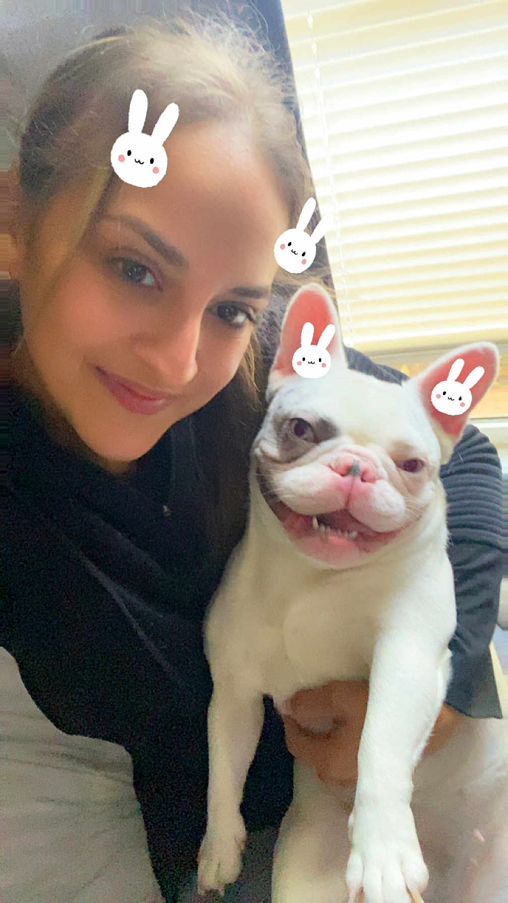 Luna is registered to the contest to win money with this photo: woman, dog, french_bulldog, indoor, smiling, pet, cute, face, ears, light, window, blinds, holding, happy, playful, stickers, portrait, cuddle, animal, friendship