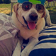Roucky participe au concours pour gagner de l'argent avec cette photo :
