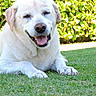 Roucky participe au concours pour gagner de l'argent avec cette photo :