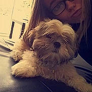 Rio participe au concours pour gagner de l'argent avec cette photo :