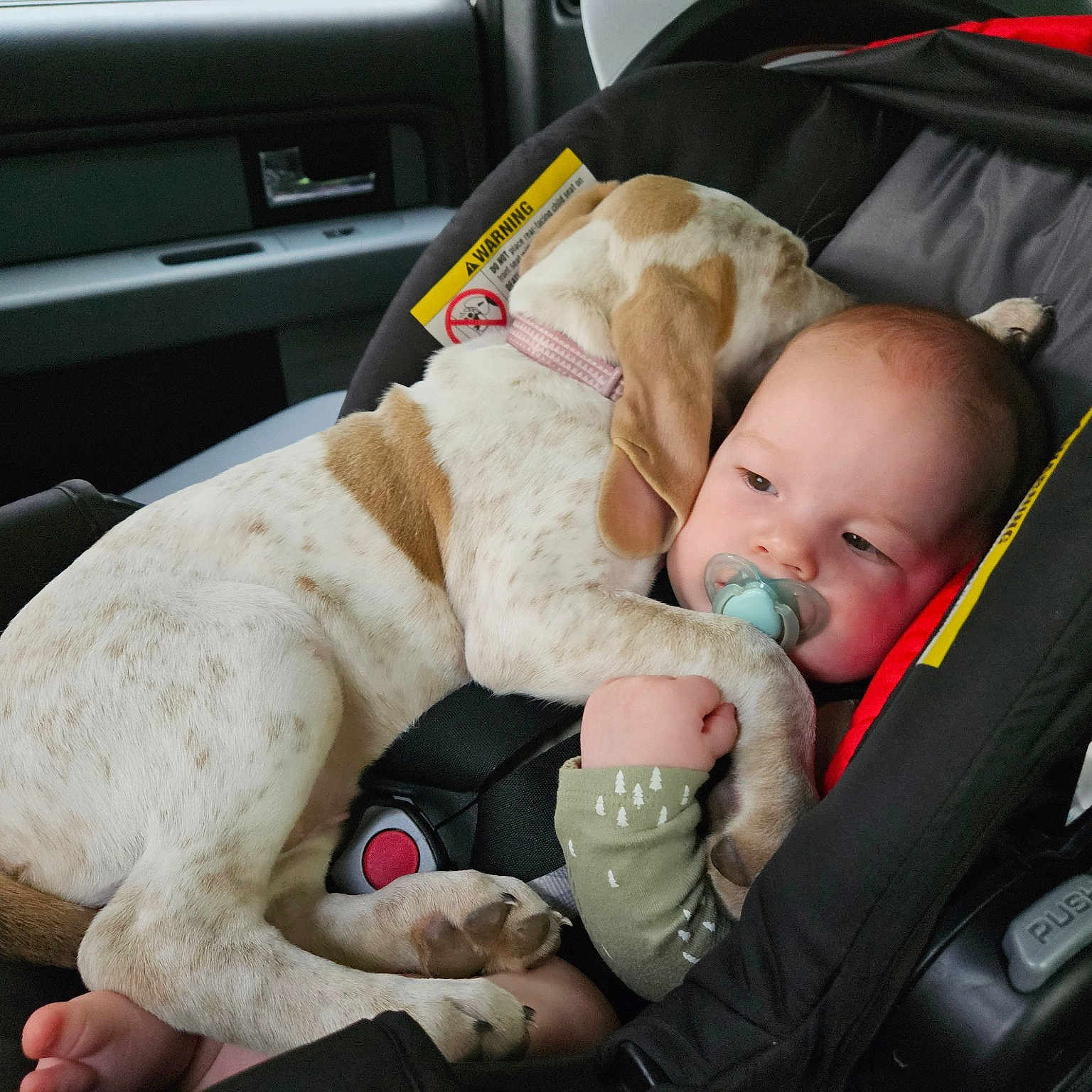Fancy joined the competition — help win amazing prizes! auto_part, baby, baby_carriage, baby_in_car_seat, baby_products, baby_safety, car_seat, car_seat_cover, child, comfort, family_car, lap, motor_vehicle, personal_luxury_car, seat_belt, service, sitting, steering_wheel, toddler, vehicle_door