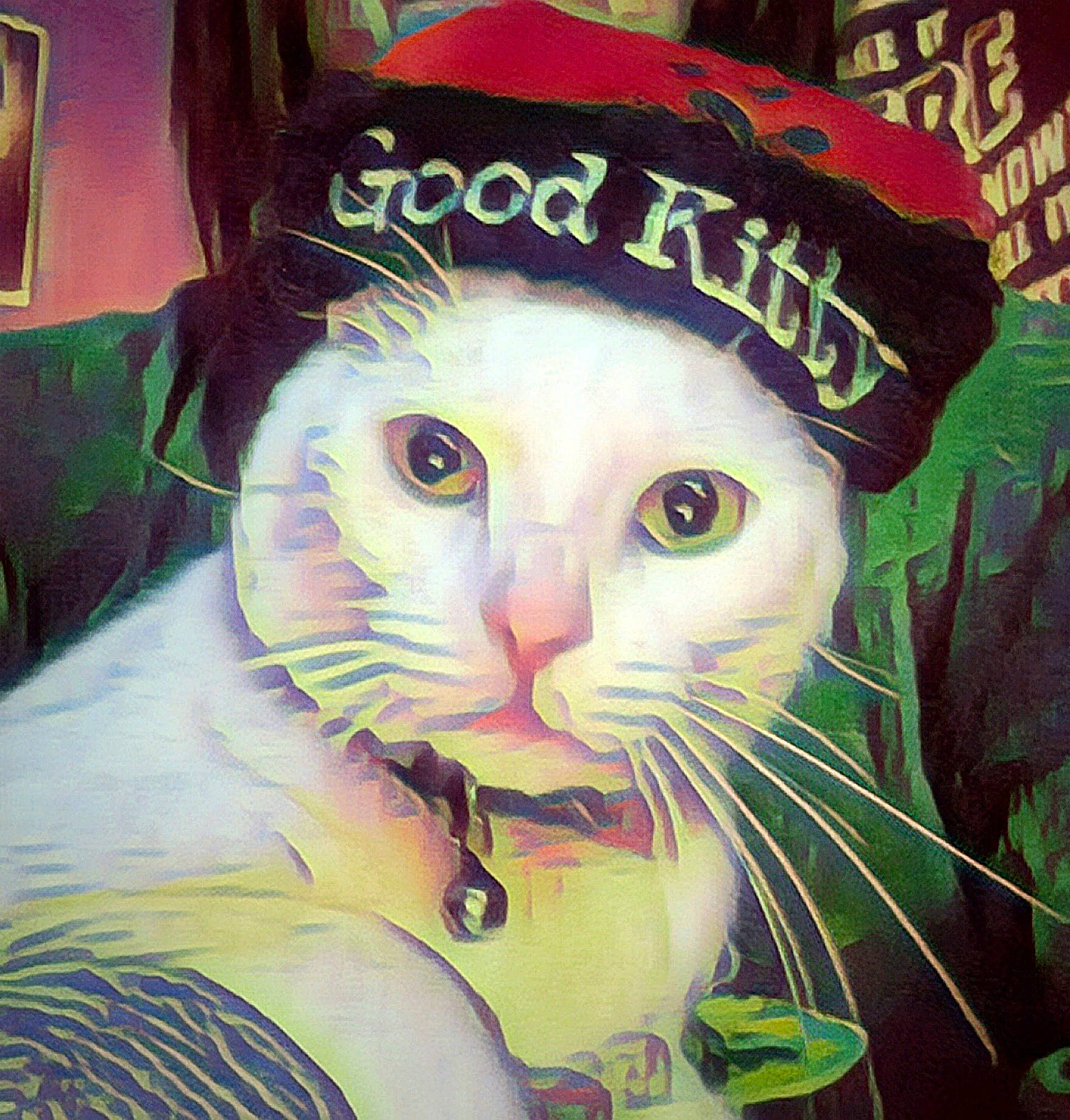 Alice is registered to the contest to win money with this photo: art, carnivore, cat, cool, costume_hat, eyewear, fashion_accessory, felidae, font, fur, graphic_design, graphics, hat, illustration, paint, painting, small_to_medium_sized_cats, snout, visual_arts, whiskers