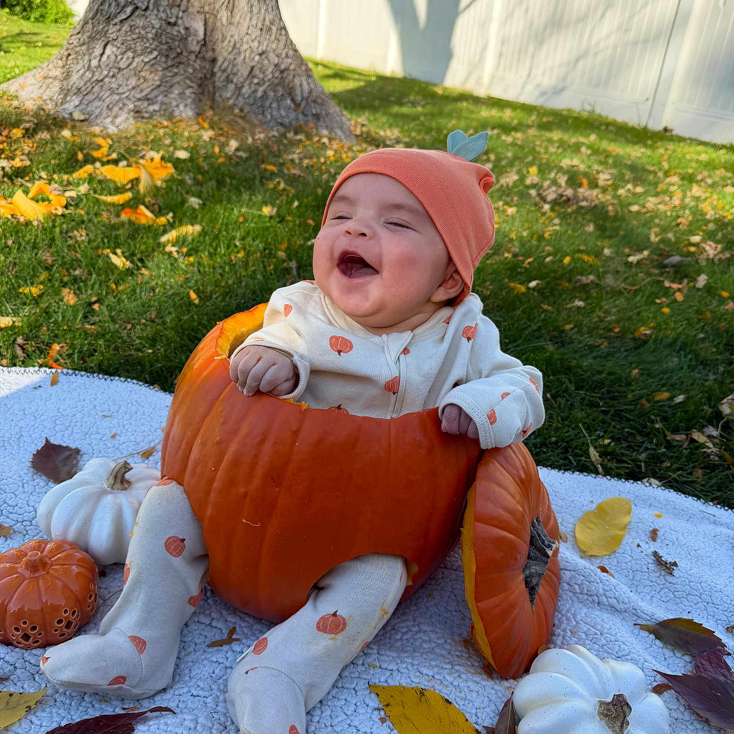 Emiliano joined the competition — help win amazing prizes! baby, child, smiling, laughing, outdoor, autumn, fall, pumpkin, pumpkin_costume, baby_costume, hat, onesie, blanket, leaves, grass, tree, fence, backyard, portrait, seasonal