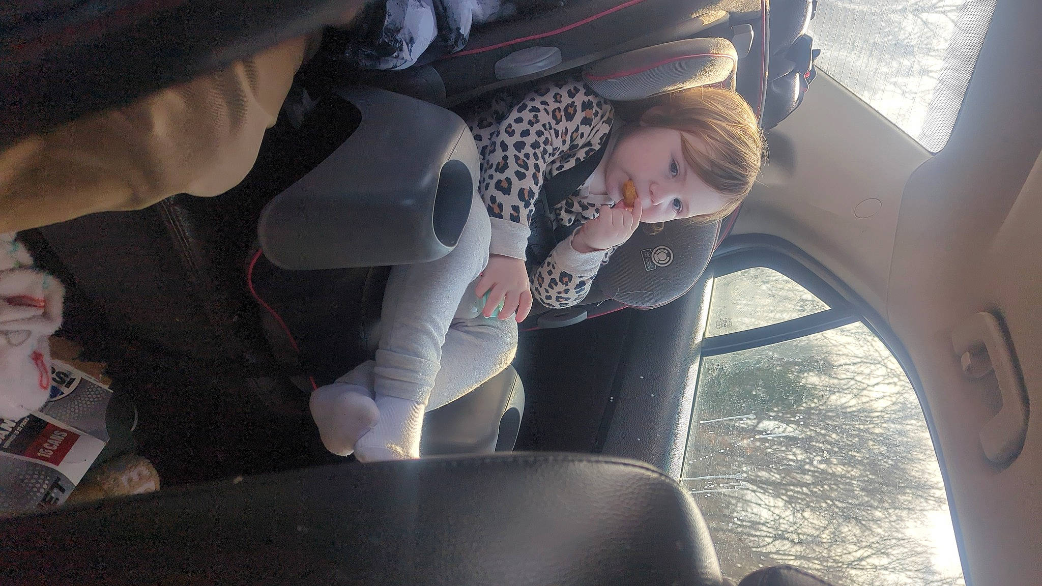 Eliana is registered to the contest to win money with this photo: arm, auto_part, automotive_design, automotive_exterior, automotive_wheel_system, automotive_window_part, car, car_seat, car_seat_cover, comfort, family_car, finger, head_restraint, leg, mode_of_transport, motor_vehicle, person, tree, vehicle, vehicle_door