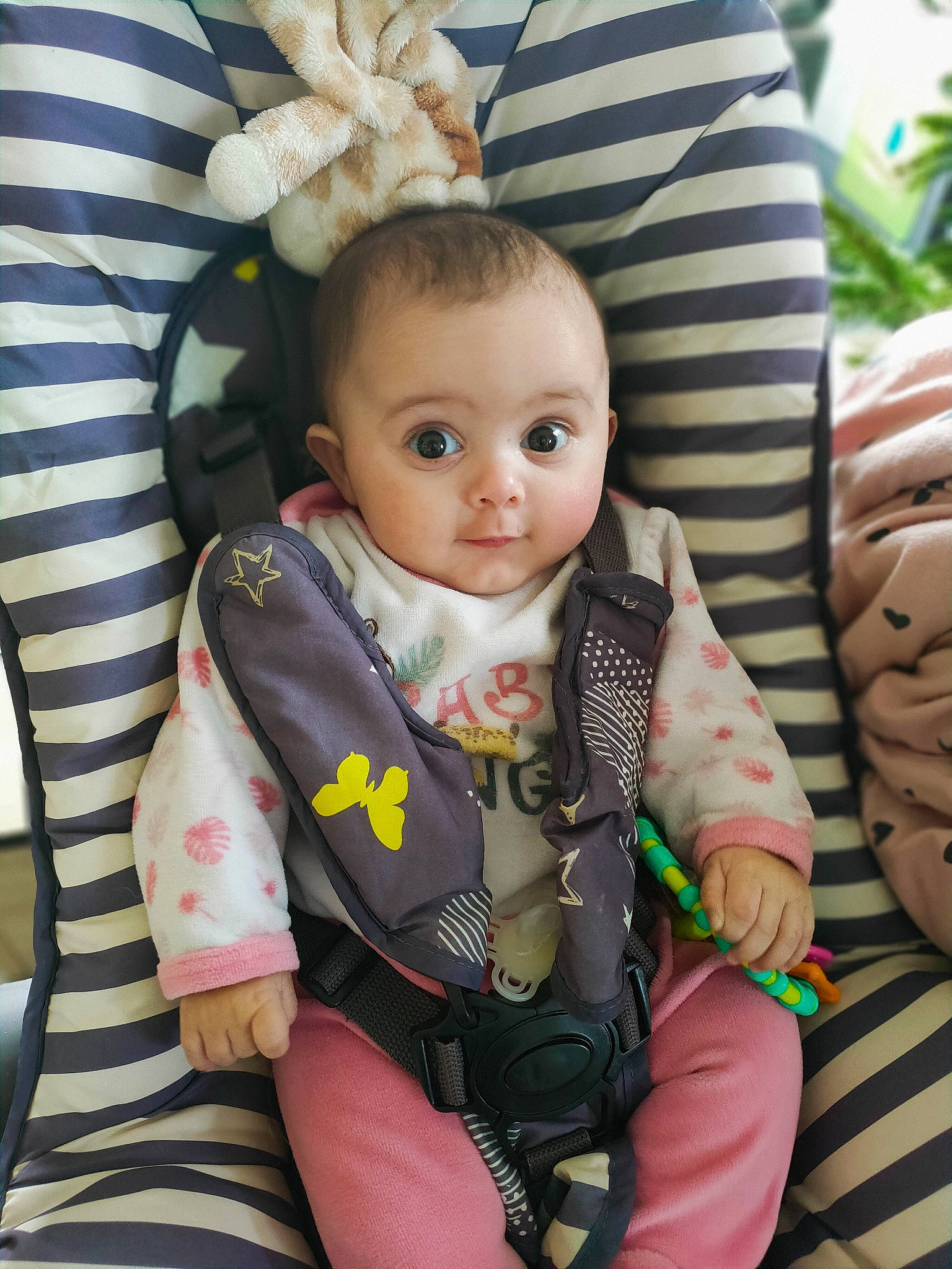 Myla a rejoint le concours — aidez-le/la à gagner de superbes lots ! baby, baby_toddler_clothing, beauty, cheek, child, comfort, doll, eye, eyelash, happy, head, human_body, outerwear, people, person, plant, sitting, skin, sleeve, textile