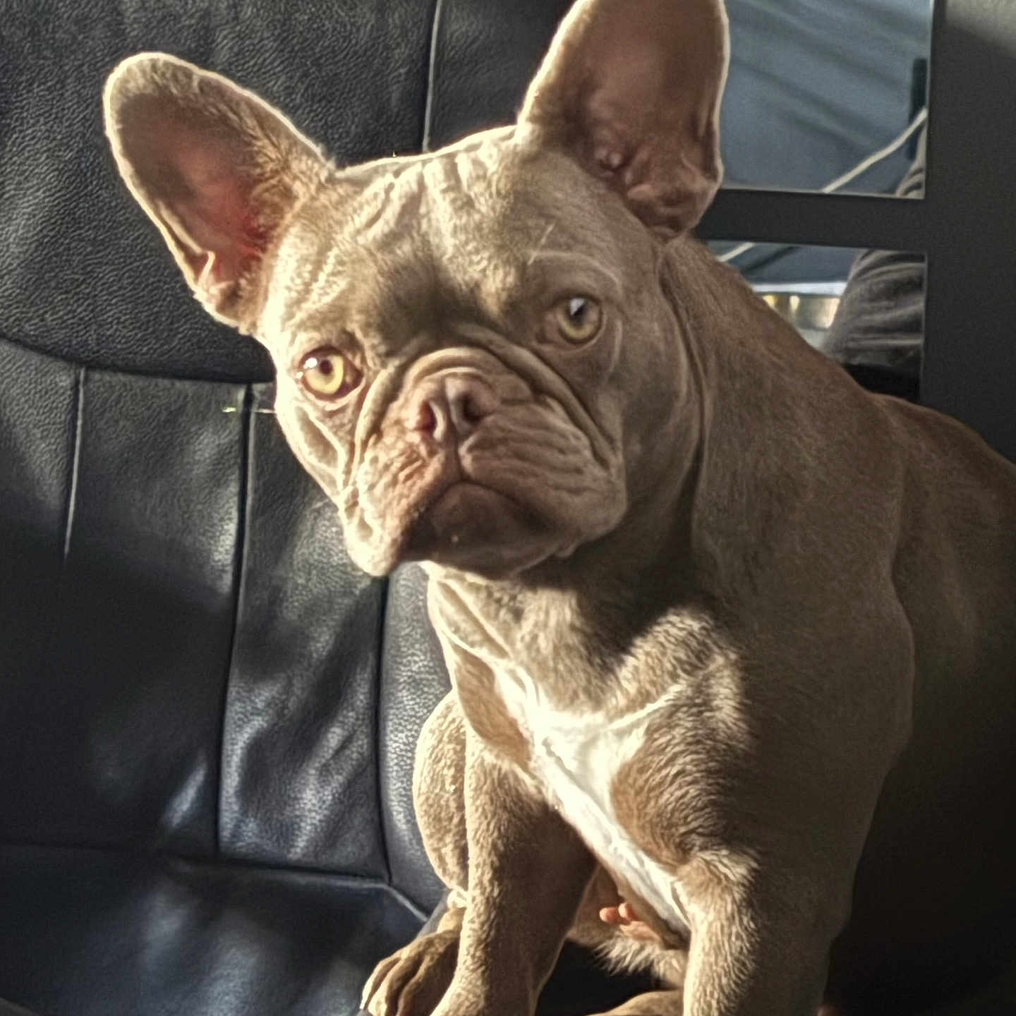 Maggie