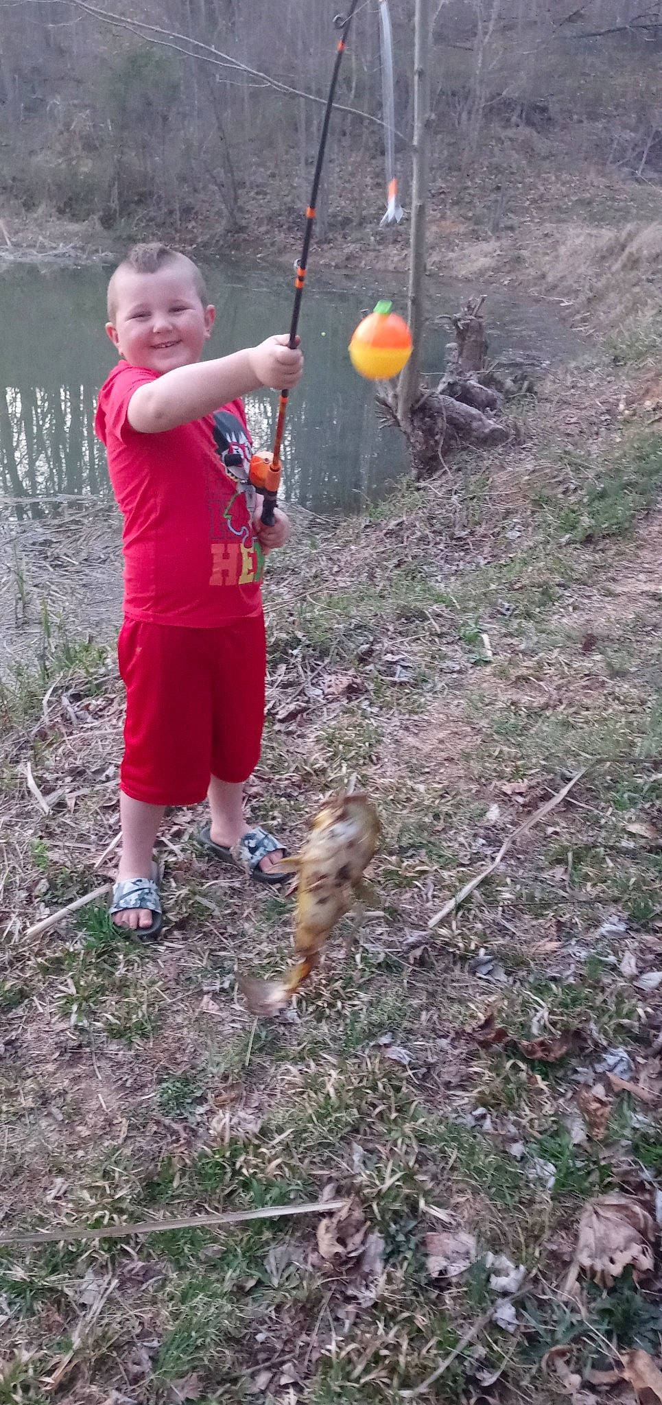 Aaden joined the competition — help win amazing prizes! adventure, carnivore, child, clothing, dog_hiking, fun, grass, joy, leg, leisure, people_in_nature, person, plant, play, recreation, shorts, smile, soil, t_shirt, toddler