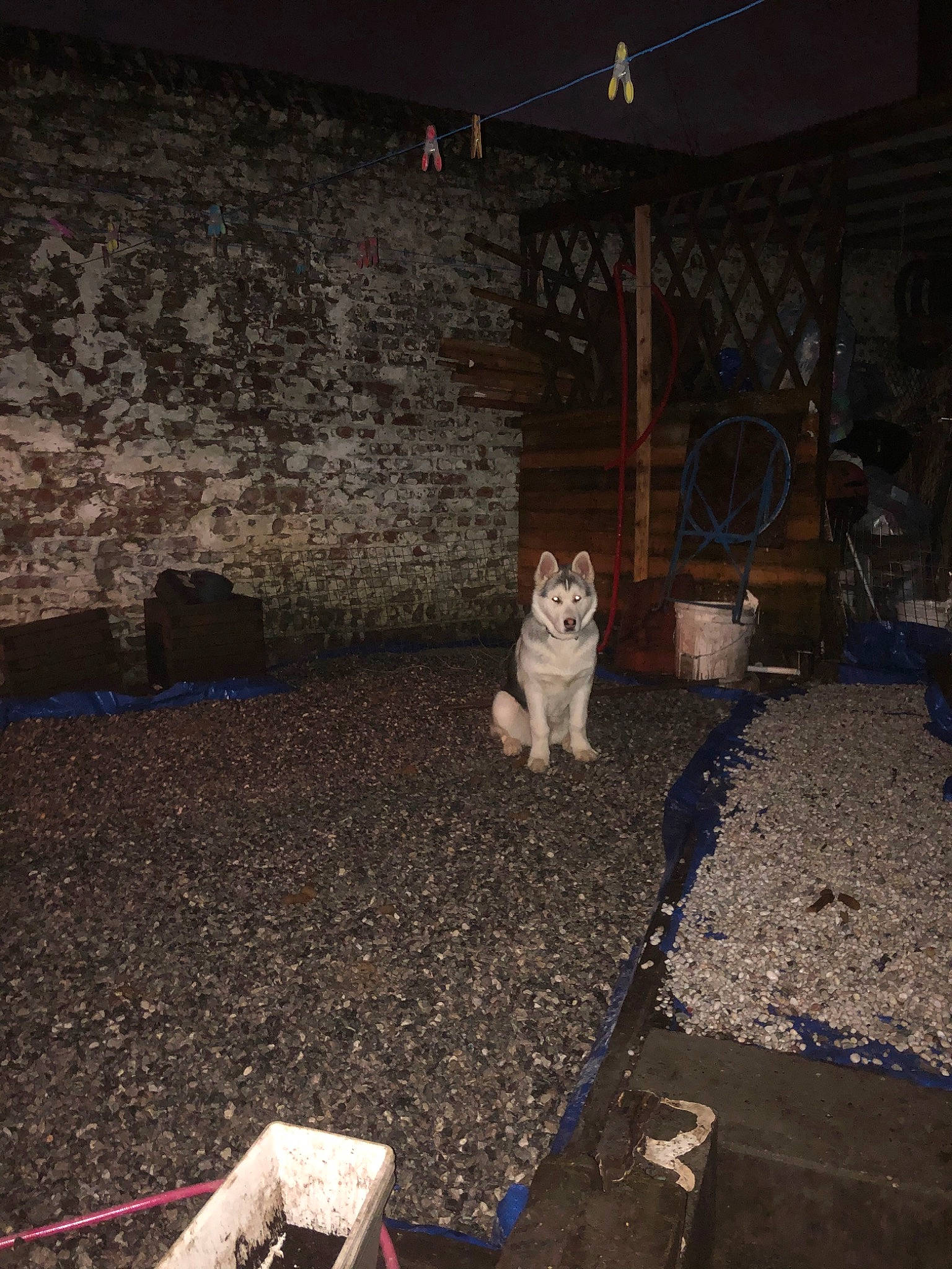 Démon a rejoint le concours — aidez-le/la à gagner de superbes lots ! floor, flooring, room