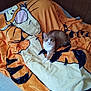 animal, bed, blanket, cartoon, cat, cozy, cute, domestic_cat, fur, indoor, orange, orange_cat, pet, relaxed, resting, striped, tiger_print, whiskers, white, wood_paneling
