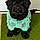 Onyx