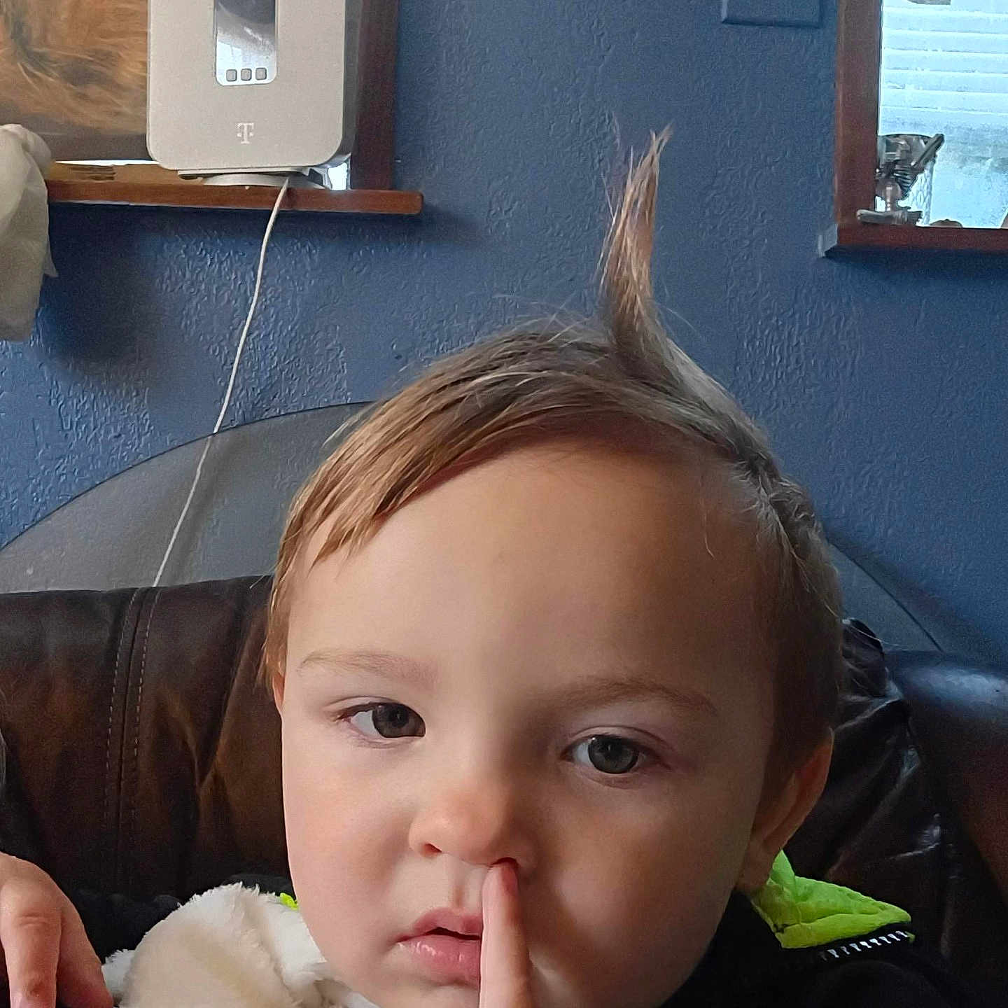 Vengeance joined the competition — help win amazing prizes! blanket, blue_wall, casual, child, couch, curious, curtain, cute, expression, face, finger, hair, indoor, nose, person, portrait, sitting, toddler, window, young_child