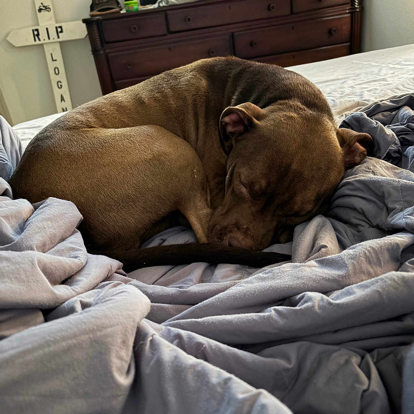 Odin