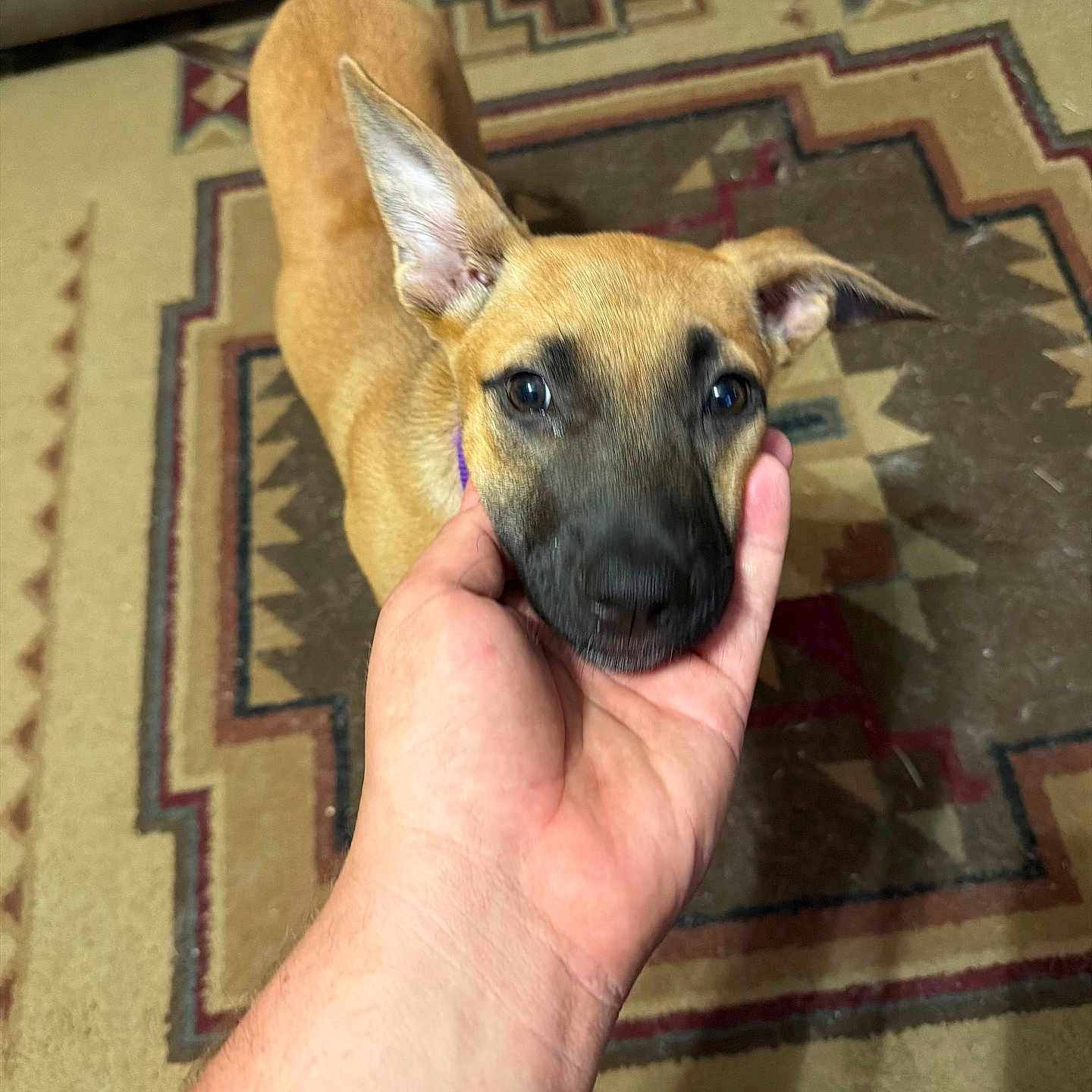 Oakley