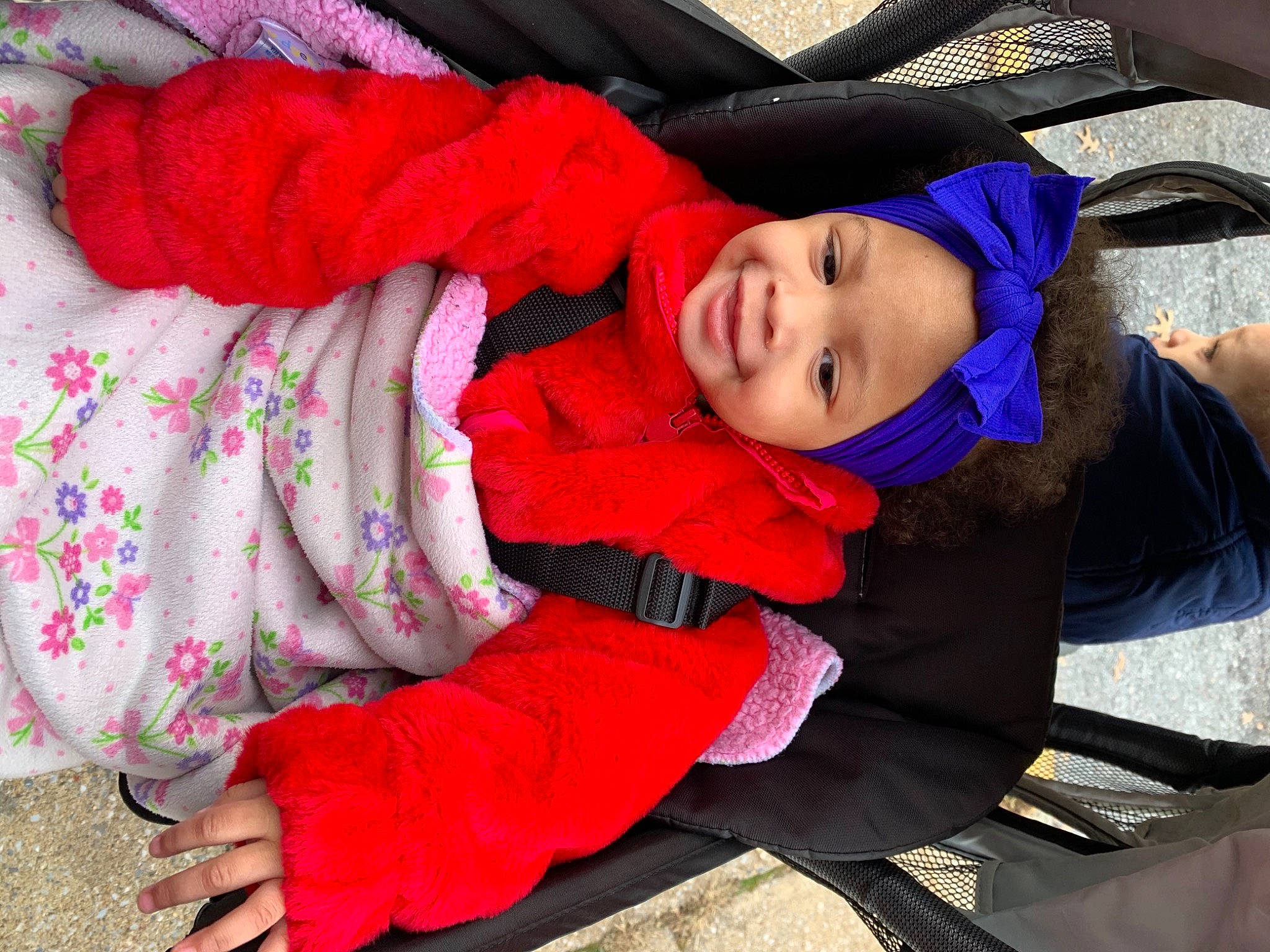 Addie is registered to the contest to win money with this photo: comfort, costume, electric_blue, event, fun, fur, glove, headwear, jacket, joy, leisure, magenta, person, plant, purple, sitting, smile, textile, toddler, tradition