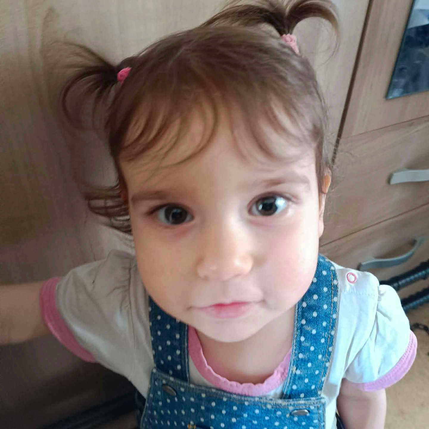 Adelina participe au concours pour gagner de l'argent avec cette photo : toddler, child, girl, pigtails, denim_overall, polka_dot, white_shirt, pink_trim, indoor, furniture, wooden_cabinet, curious, face, portrait, person, clothing, young_child, cute, looking_up, standing