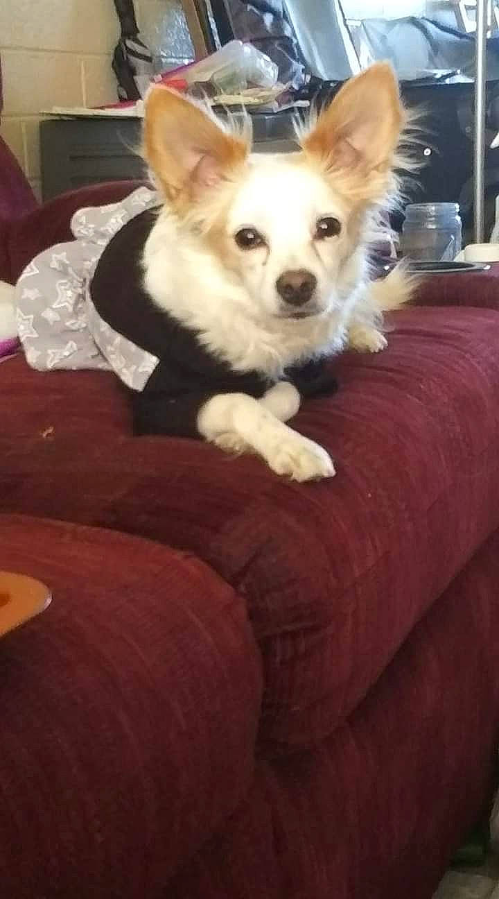 Angelita