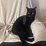alert, animal, black_cat, blanket, cat, chair, cozy, curious, domestic_animal, feline, fur, home, indoor, pet, relaxing, resting, soft_texture, tail, whiskers, yellow_eyes