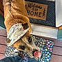 Bruno is registered to the contest to win money with this photo: dog, hat, tongue, looking_up, doormat, welcome_mat, feet, sneakers, jeans, wooden_floor, tiles, outdoor, pet, brown_fur, white_fur, ears, nose, eyes, portrait, casual
