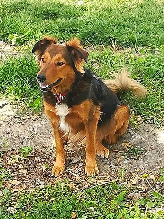 Lili